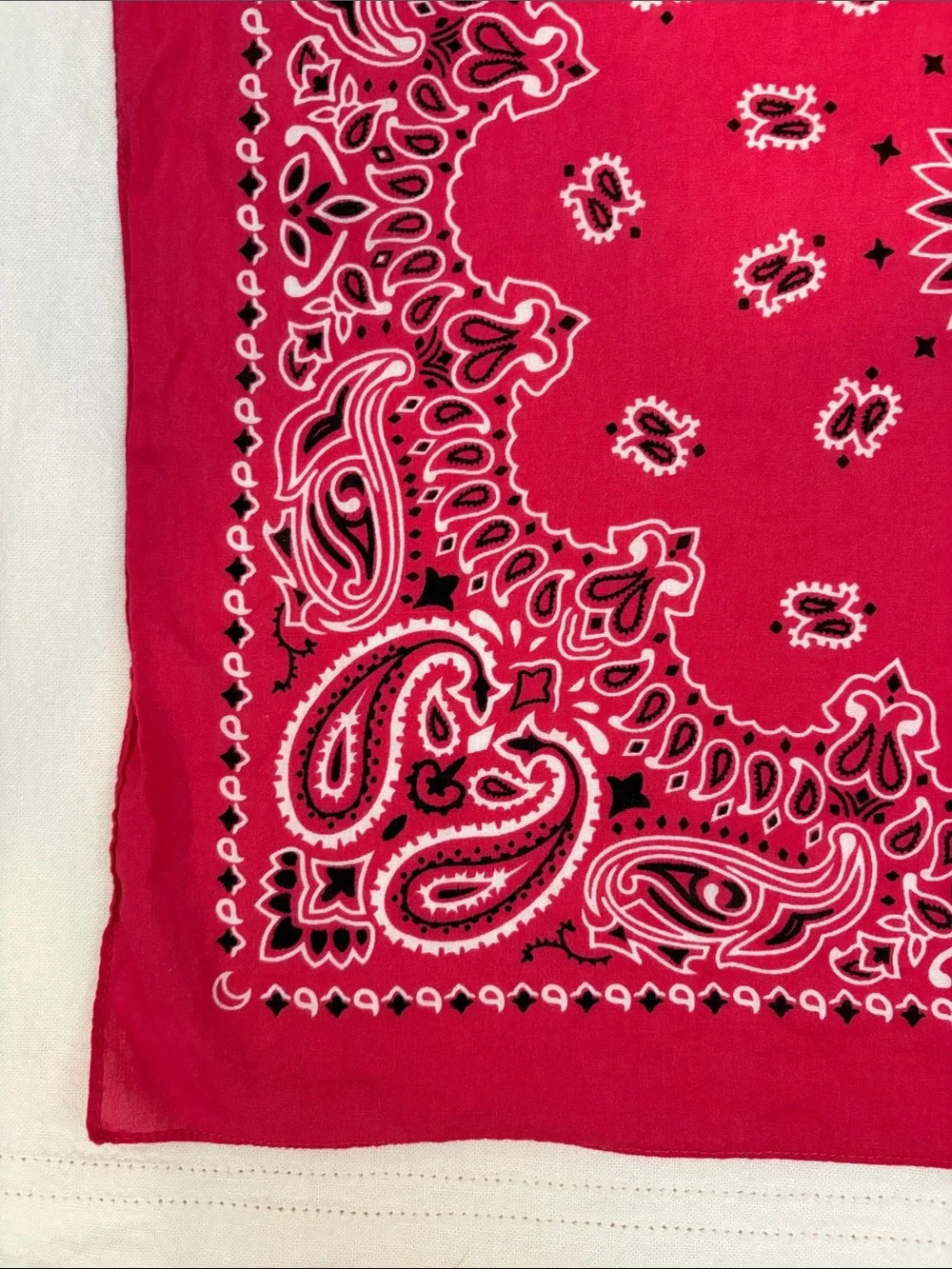 Pink Paisley Bandana